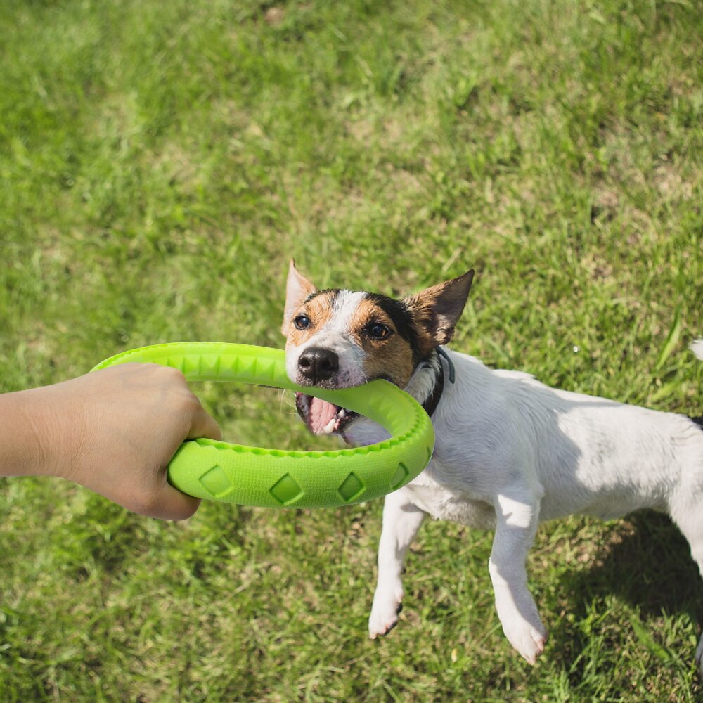 Pet Dog Agility Training Toy EVA Ring Puppy Dogs